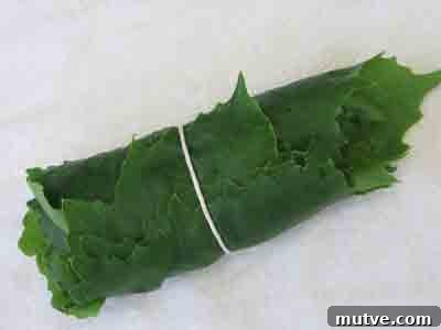 How to Prepare Grape Leaves for Dolmades 9 abelofylla yia ntolmades grape leaves for dolmades tied