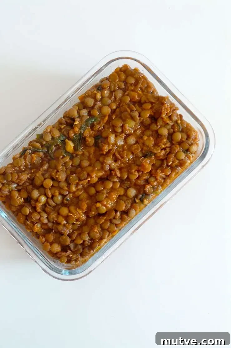 Fresh lentil salad dip in a bowl