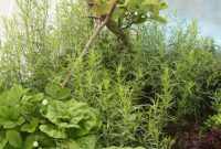 How to Make Tarragon Vinegar at Home