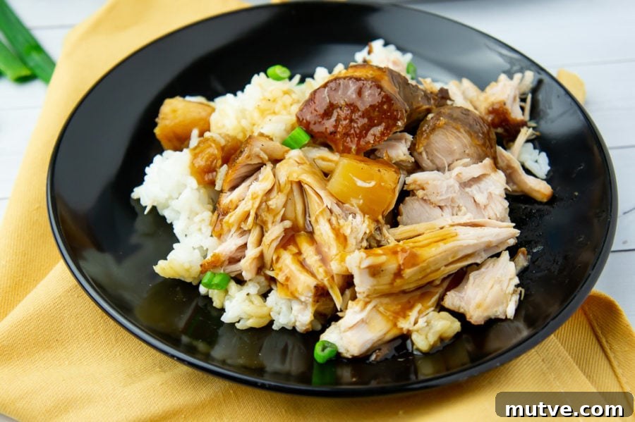 a plate of pineapple pulled pork with rice