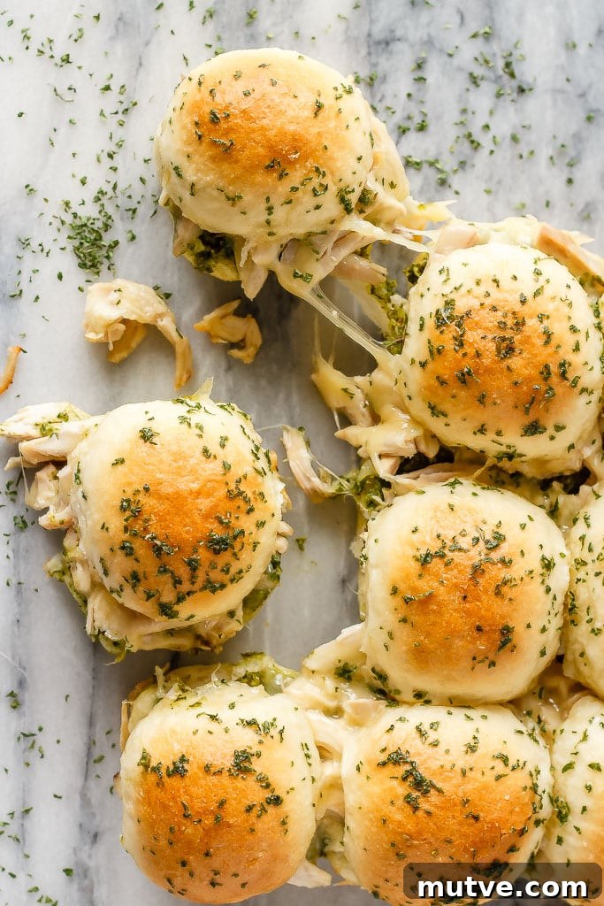 Pesto chicken pull apart sliders