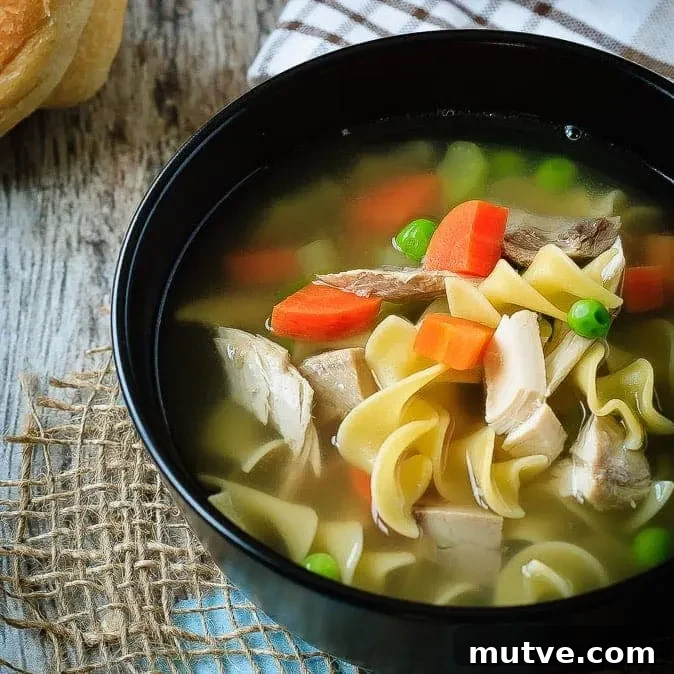 30 Minute Chicken Noodle Soup