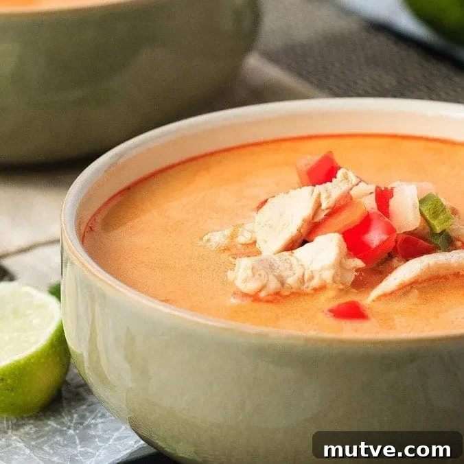 Thai Chicken and Vegetable Soup
