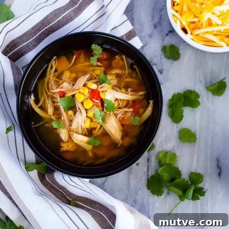 Slow Cooker Chicken Taco Soup