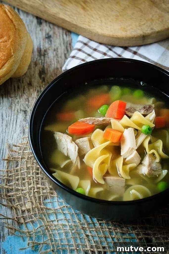 30 Minute Chicken Noodle Soup